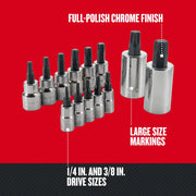 Craftsman chrome finish Torx bit socket set, various sizes, SKU CMMT49294, front angle on white background.